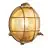 Nordlux Polperro Wall Light Glass Brass | 195mm - IP64 - Suitable for E27