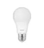 Noxion Pro LED E27 Pear Frosted 5.5W 470lm - 827 Extra Warm White | Dimmable - Replaces 40W