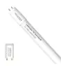 Noxion LED Tube T8 Avant (EM/Mains) Standard Output 17.5W 1800lm - 830 Warm White | 120cm - Replaces 36W